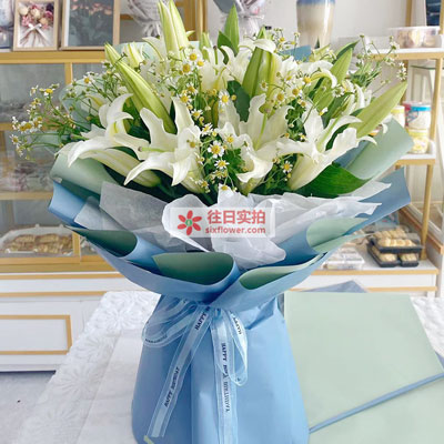 渭南8支白色多头百合洋甘菊，互倾的思念