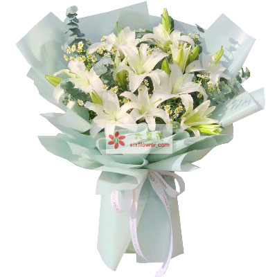 渭南6支白色多头百合，温馨的祝福